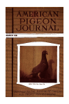 Cover. click for larger image